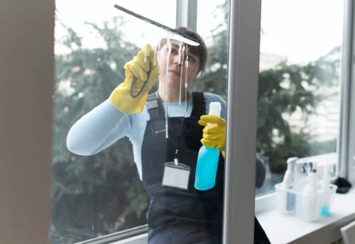 Nettoyage de vitres intérieures et extérieures à Loretz-d'Argenton